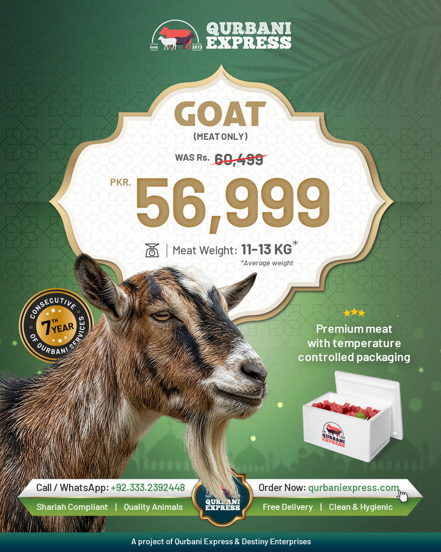 Bakra Qurbani Karachi 2026