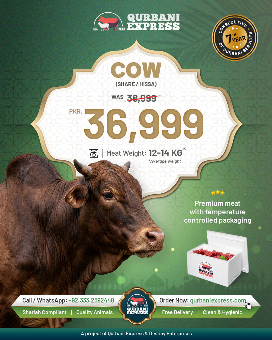 Cow Share Qurbani Pakistan 2026 for overseas Pakistanis — 12 to 14 kg