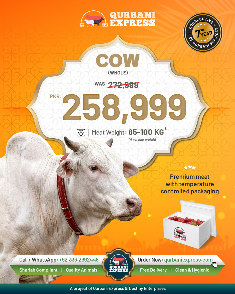 Full Cow Qurbani Pakistan 2026 for overseas Pakistani families — 85 to 100 kg