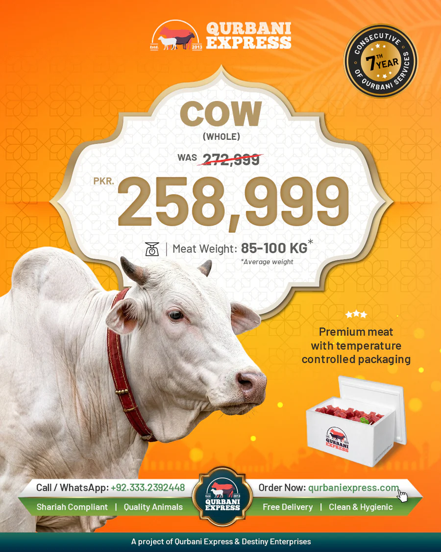 Full Cow Qurbani Karachi 2026 — 85 to 100 kg — 7 shares — Eid 27 May