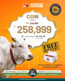 Karachi - Full Cow - 7 Shares - Weight: 80 - 100 kg - Qurbani 2026 (Free Meat Delivery)