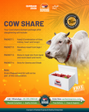 Karachi - Full Cow - 7 Shares - Weight: 80 - 100 kg - Qurbani 2026 (Free Meat Delivery)