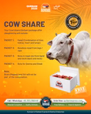 Karachi - Full Cow - 7 Shares - Weight: 80 - 100 kg - Qurbani 2026 (Free Meat Delivery)