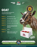 Karachi - Bakra - Weight: 11 - 13 kg - Qurbani 2026 (Free Meat Delivery)